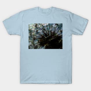 Rainbows and Dandelions T-Shirt